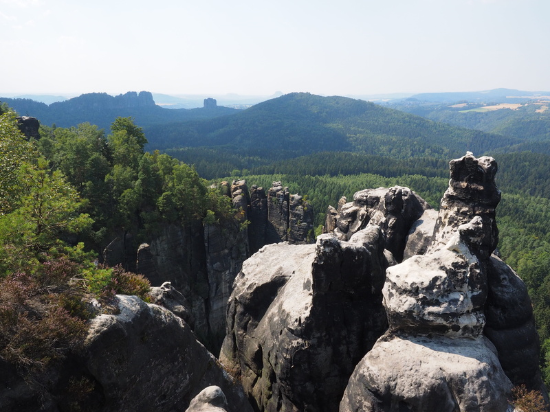 tranquil scene, plant, long horn, day, hike, landscape, outdoors, nature, saxon switzerland, remote, 4K, tranquility, high love, hiking, non-urban scene