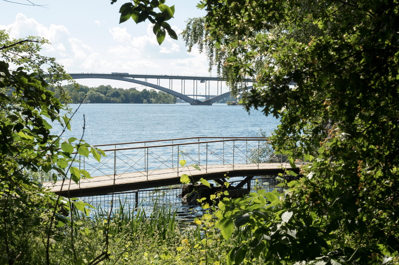 green color, sommer, leaf, color, sweden, plant part, ocean, lonly, day, bridge, water, landscape, nature, plant, river, stockholm, green, trees, connection