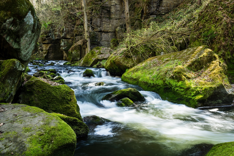 moss, Marie-Sophie, Canyon  River, Bäche, Water, landscape, time lapse, Sachsen, Shutter, Sony  a6000, Rock, Eise, scenics, Switzerland, tree, flowing Water