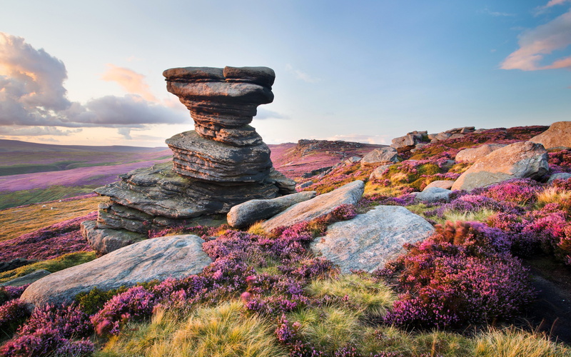 stones, kingdom, 4K, Edge, nature, derwent, United, scenery, grasslands