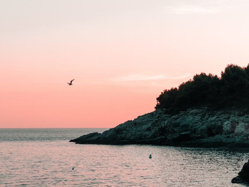 horizon over water, sky, flying, nature, beauty in nature, croatia, animals in the wild, 2K, sea, waterfront, tranquility, no people, animal themes, animal