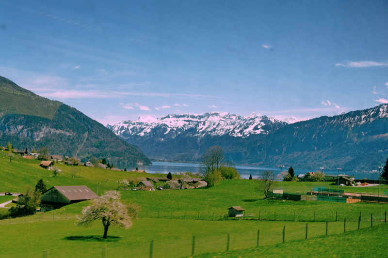 Panasonic  Lumix  GH2, Suisse, Nature, Peaceful, 25mm, Schweiz, view, Mountain, scenics, switzerland, Thun  Switzerland, Lake, europe, Voigtlander, summer