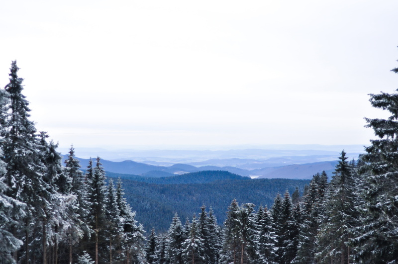 idyllic, high, tranquil scene, landscape, pine tree, snow, environment, sky, outdoors, non-urban scene, cold temperature, plant, travel, mountain, germany