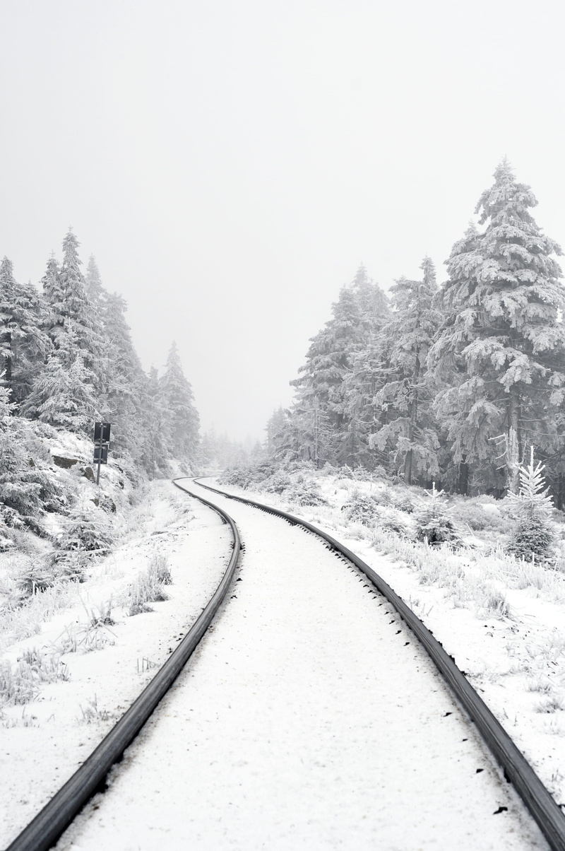 grayscale, travel, pine tree, direction, snowcapped mountain, the way forward, destination, covered, harz, clear sky, beauty in nature, track, diminishing perspective