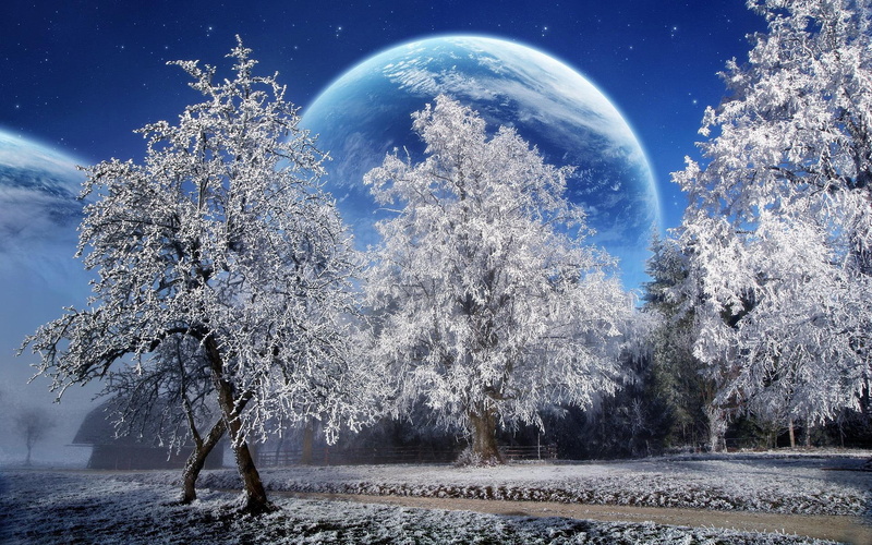 moon, nature, season, 1080P, snow, beautiful, tree, forest, trees, wald, fantasy, earth, winter, mystical, cold, big