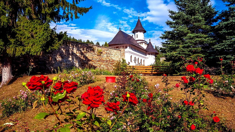 village, building exterior, tree, town, flower head, day, garden, built structure, moldavia, place of worship, religion, flowering plant, 1080P, fragility