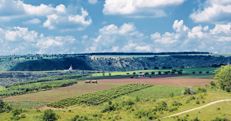 farm, rural scene, no people, scenic, nature, Orhei, day, land, natural, outdoor, outdoors, tranquility, agriculture, Moldova, beauty in nature, green color
