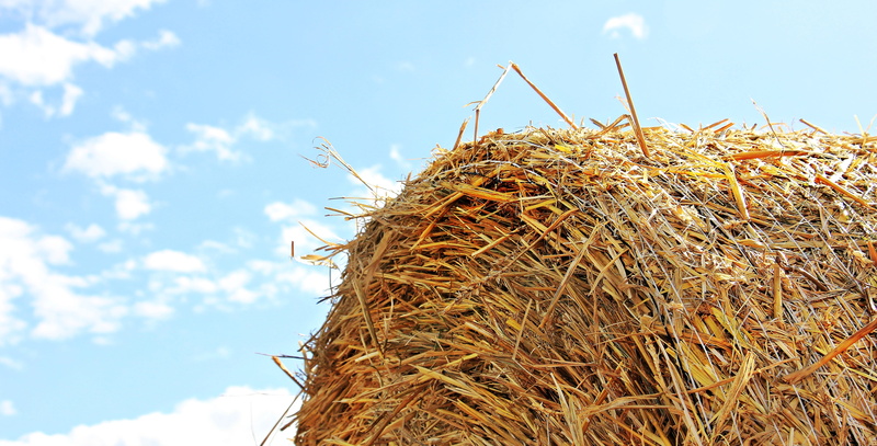 clouds, growth, straw harvest, round bales, eyeview, summer, golden yellow, animal nest, golden, cereals, sunlight, rural, harvested, hay, harvest, architecture