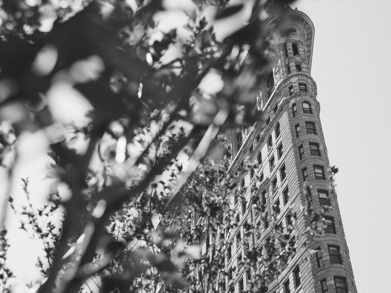 nature, low angle shot, growth, selective focus, high, building, plant, s, rise, architecture, built structure, tree trunk, urban, worm, landmark, ancient