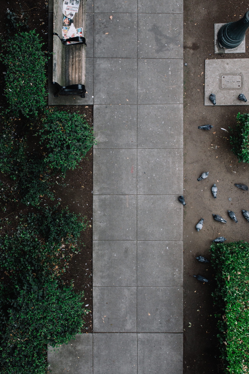 outdoors, wooden bench, plant part, green color, park, directly above, photo, stone, transportation, pigeons, no people, grass, plant, footpath, eyeview