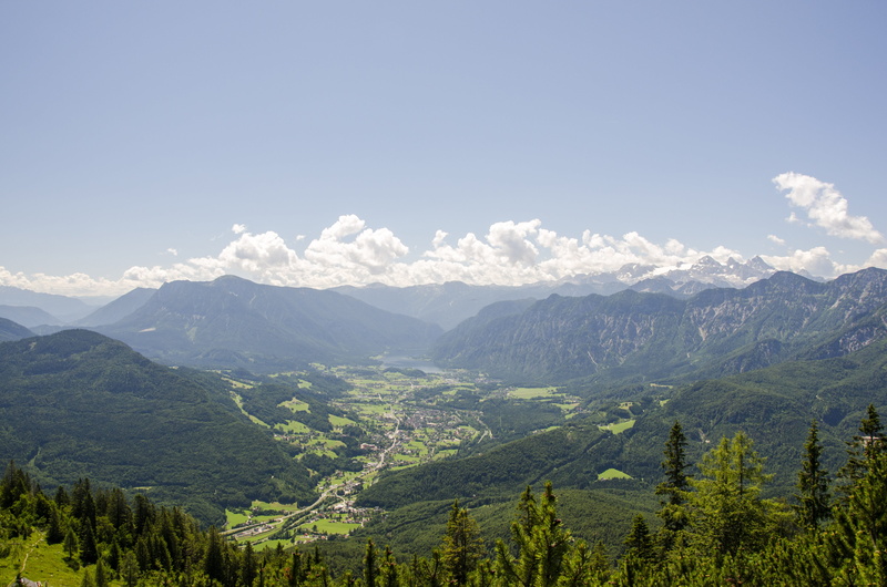 daytime, pine woodland, green mountain, surrounded, landscape, plant, no People, peak, outdoors, forest, tranquil scene, mountain Range, beauty In Nature