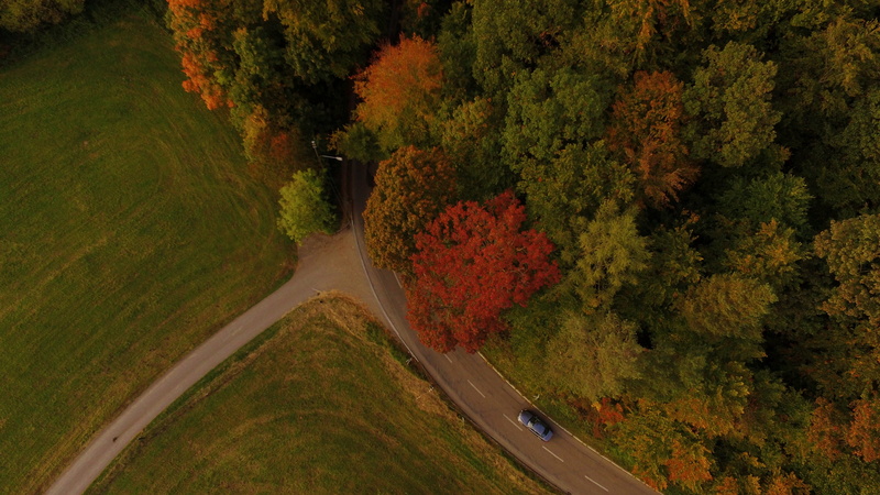 eyeview, green color, car, landscape, scenics - nature, bed, tree, lane, transportation, beauty in nature, track, no people, growth, non-urban scene, road