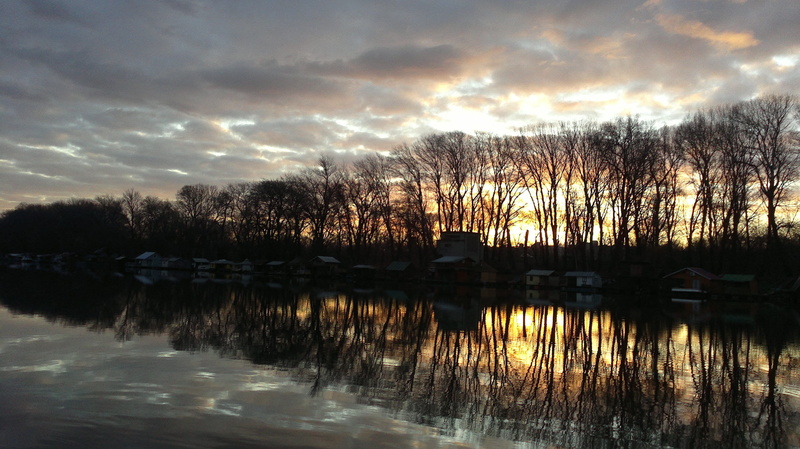 november, cloud - sky, tranquil scene, forest, waterfront, reflection, tranquility, beauty in nature, nature, early, sava, scenics - nature, sunrise, water