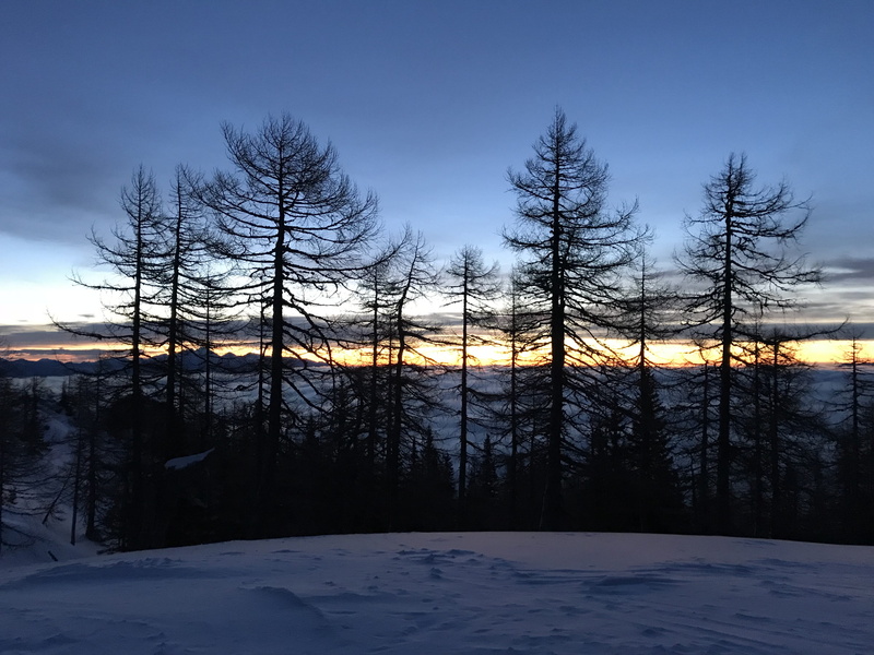 frozen, cold temperature, outdoors, winter, trees, mountains, plant, forrest, covering, non-urban scene, snowcapped mountain, land, environment, slovenia