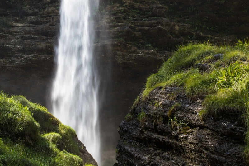 plant, long exposure, triglav national park, rainforest, no people, environment, mountains, waterfall, peričnik is the common, non-urban scene, falling water