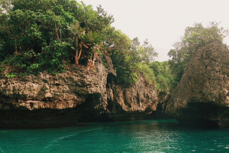 turquoise, rocky, no people, trees, eroded, idyllic, sea, rock - object, waterfront, rock formation, beautiful, beautiful view, outdoors, scenics - nature