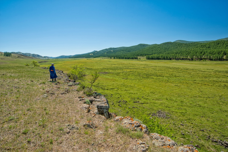 land, one person, scenics - nature, field, mongolia, landscape, walking, people, bogart village, nature, summer, plant, environment, sunlight, day, beauty in nature