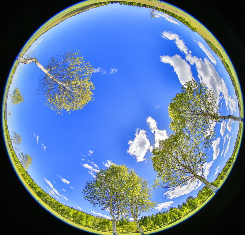 land, mongolia, tree, all, outdoors, blue, shape, spring, fish-eye lens, sunlight, close-up, studio shot, planet - space, plant, meadow, 4K, no people