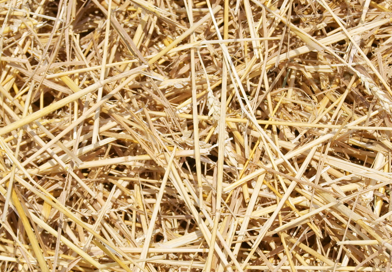 pile, twig, abstract, texture, abundance, dried, haystack, beauty in nature, backgrounds, material, background, close-up, field, hay, macro, farm, day