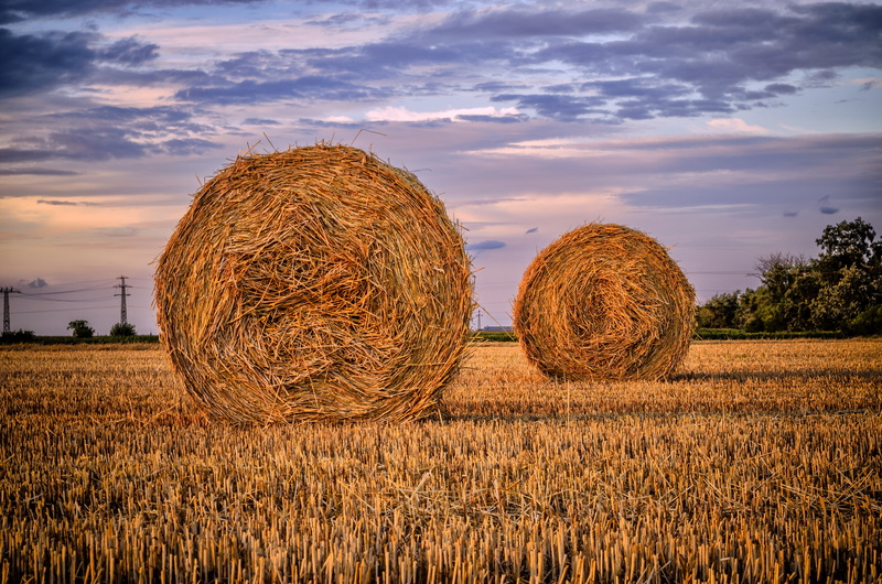 outdoors, straw, cloud - sky, nature, harvesting, plant, tranquility, 4K, tranquil scene, rural landscape, land, meadow, farm, plants, blue sky, beauty in nature