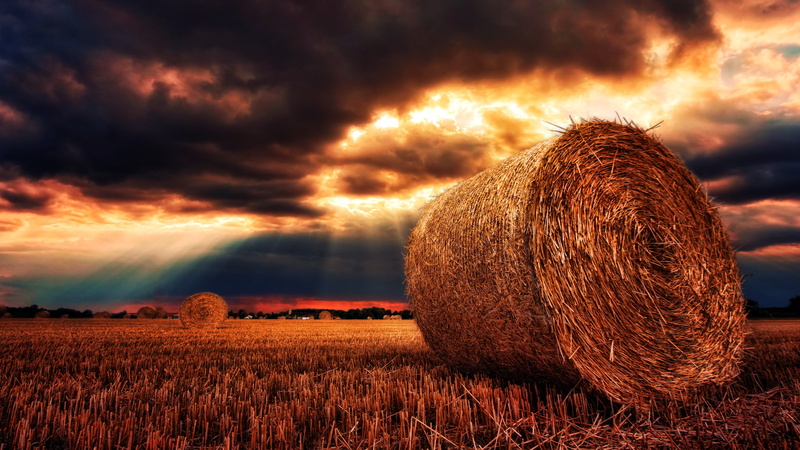 rural scene, rolled, harvest, land, straw, cereals, harvesting, farm, tranquility, dramatic, golden, rolled up, clouds, 4K, dusk, sky, sunset, agriculture