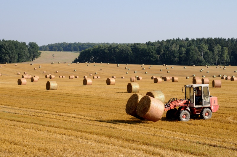 summer, field, agriculture, plant, land, yellow, bale, straw role, round bales, harvester, brown, agricultural equipment, harvesting, farm, rolled up, day