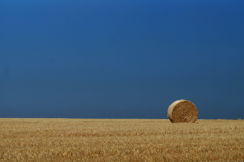 4K, tranquil scene, environment, outdoors, beauty in nature, scenics - nature, silage, farm, field, rural, summer, land, hay, blue, landscape, rural scene