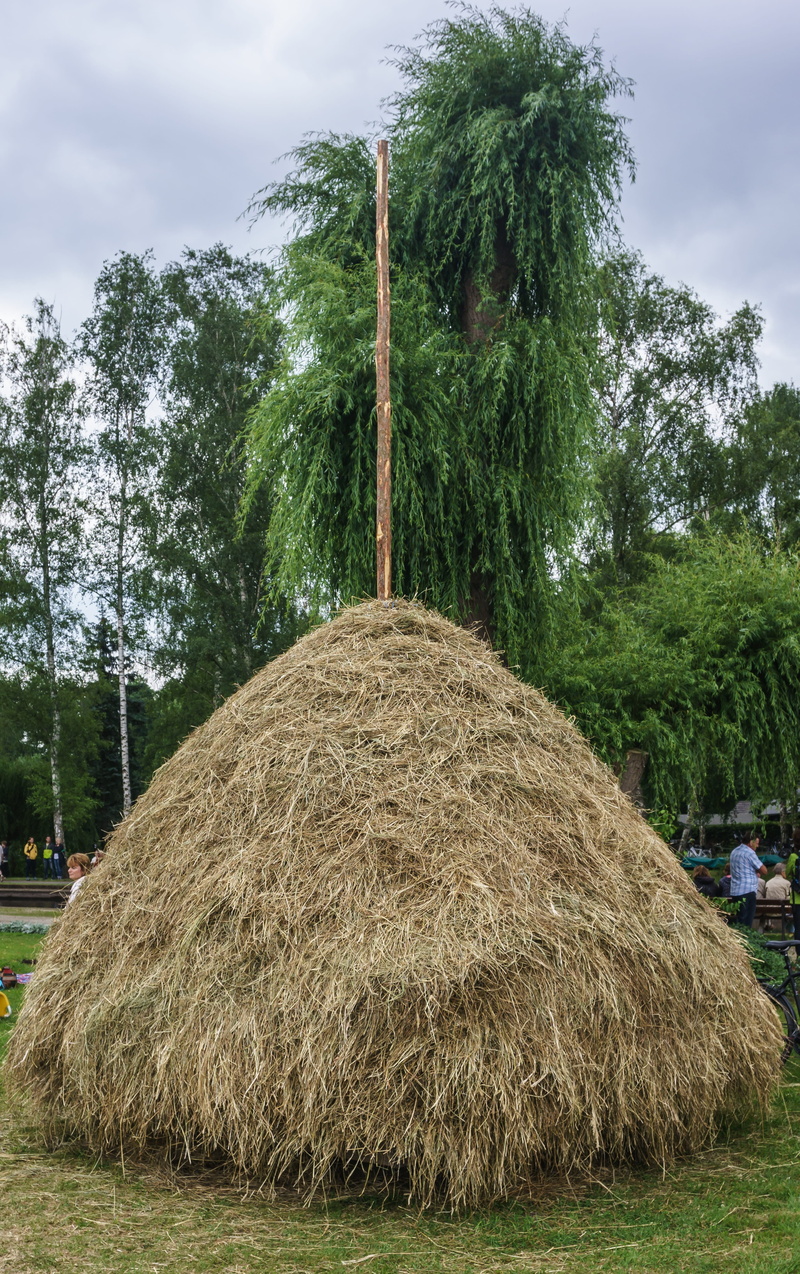 day, green color, germany, heap, haystack, plant, land, growth, tree, feed, agriculture, outdoors, cloud - sky, no people, landscape, 5K, grass, hay, nature
