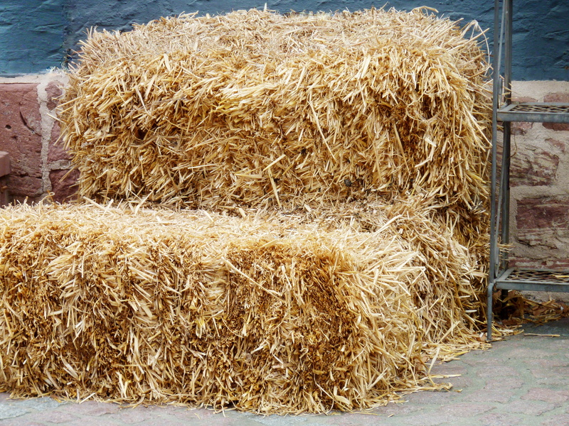 landscape, 2K, cattle feed, domestic animals, animal themes, no people, farm, drought, day, dry, rural, nature, summer, rural scene, hay bales, hay, grass