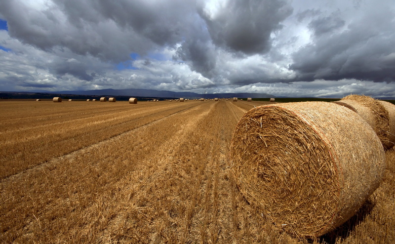 scenics - nature, Nature, Clouds, Bales, cloudscape, farm, storm, Field, brown, 4K, outdoors, cereal plant, bale, harvesting, sky, hay, Agriculture, Landscape
