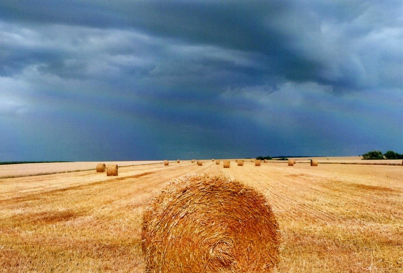 field, crop, landscape, agriculture, les, 720P, landscaped, campagne, ciel, farm, bale, straw, open, cloud - Sky, blue, time, nature, rural Scene, champs