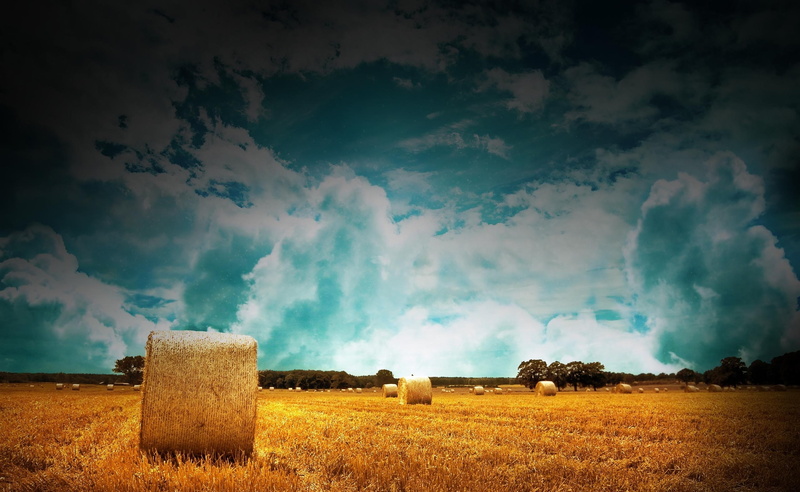 sky, beauty in nature, rural scene, roll, environment, Bales, Blue, land, Nature, farm, brown, farmland, tranquility, plant, bale, grass, Straw, 2K, Cloudy