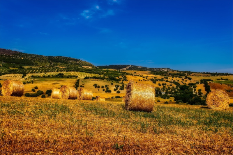 blue, harvest time, harvest, straw box, stubble, land, agriculture, tree, sky, harvested, field, environment, harvesting, grass, golden, summer, bale, sicily