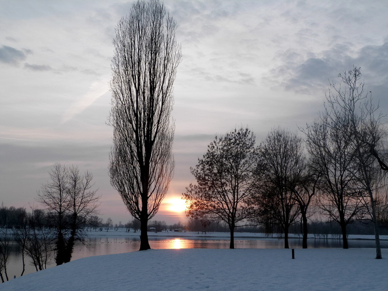 blizzard, snow, silence, nature, season, frost, Lake, withered, frozen, rural, cold temperature, Cold, temperature, frosty, solitude, body, environment
