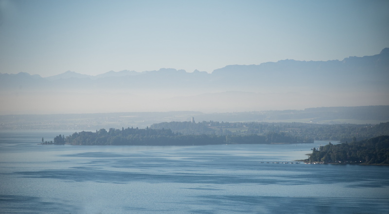 morning, nature, fog, flower, plant, germany, 5K, copy space, sky, landscape, water, lake constance, no people, tree, day, tranquility, island, environment