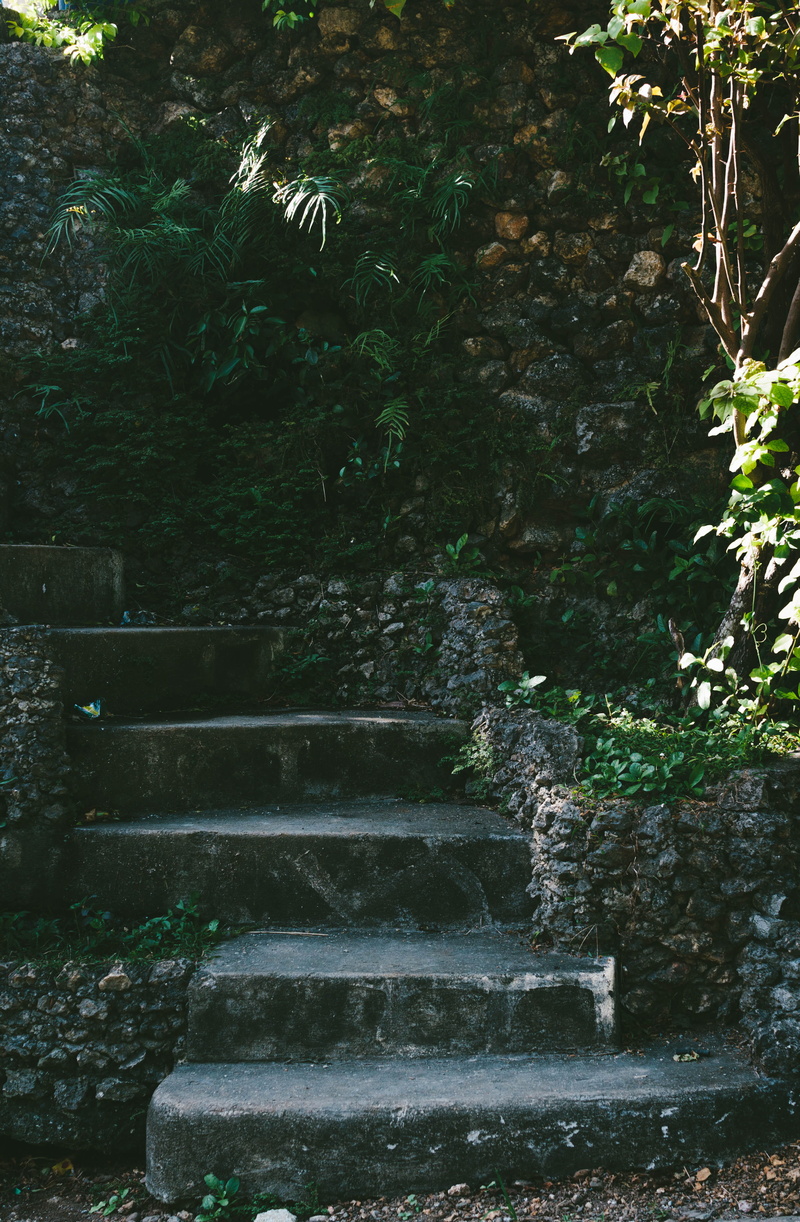 malay, philippines, growth, staircase, tree, land, green color, plant, summer, solid, forest, footpath, botanical, 4K, outdoors, no people, boracay, tranquility