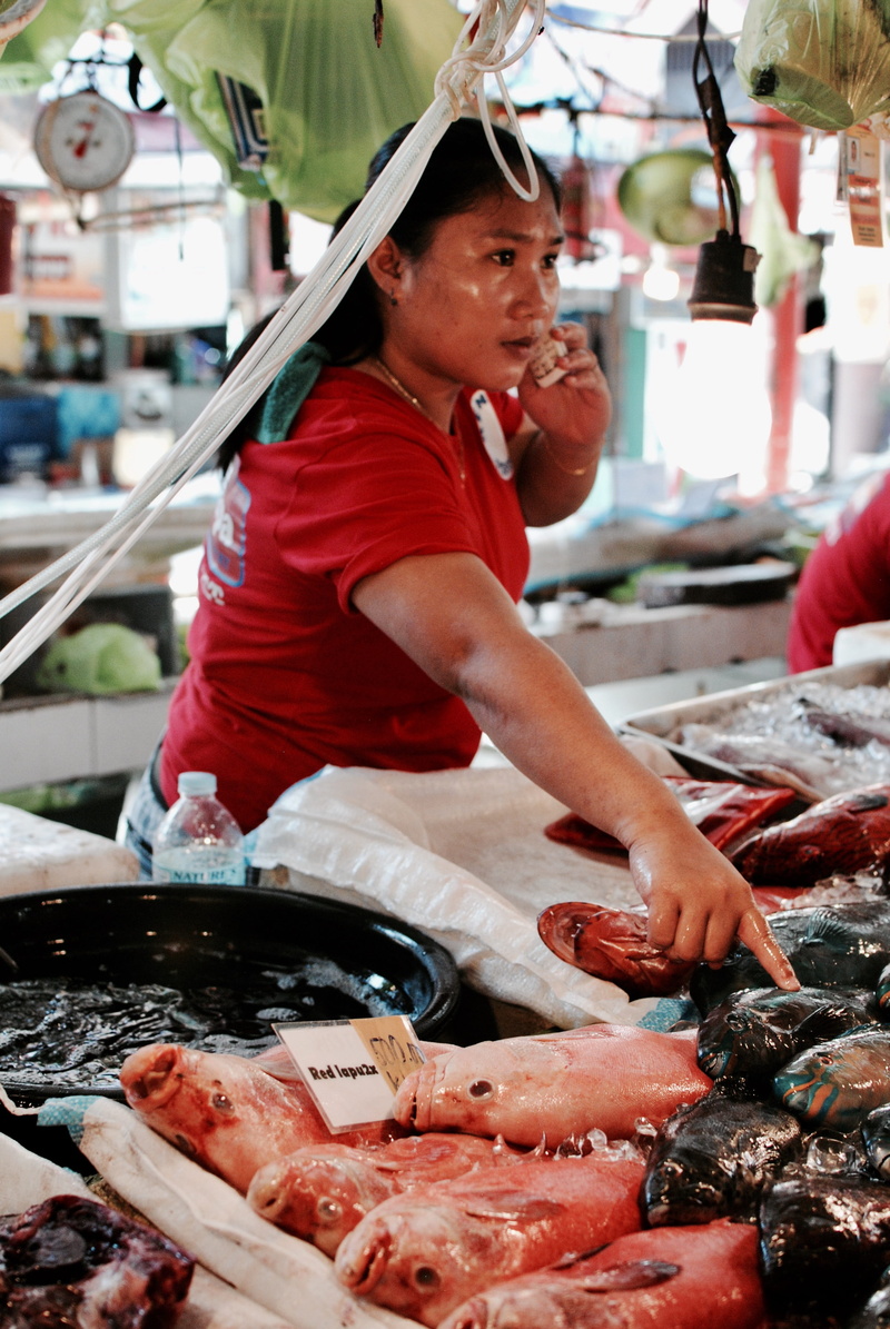 small business, market stall, consumerism, one person, portrait, food, seafood, occupation, preparation, market, for sale, fish market, retail, preparing food