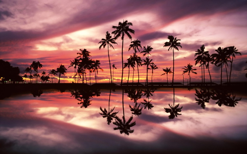Hawaii Sunset, hawaiian, 1080P, honolulu, 1920x1200