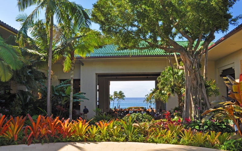 view, palm, tropical, ti, beach, island, hawaiian, plants, 2K, garden, beautiful, ocean, villa, trees, gardens, paradise