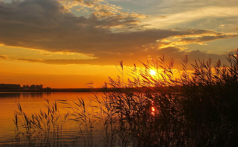 sun, sunsets, sky, nature, sunrises and sunsets, 2K, rivers, scenery, sunrises