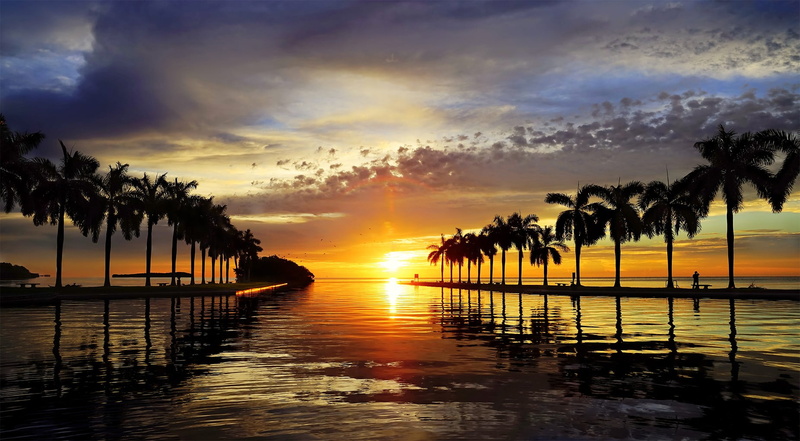 no people, cloud - sky, palm tree, water, sea, scenics - nature, coconut palm tree, beach, clouds, silhouette, tranquility, beauty in nature, orange color