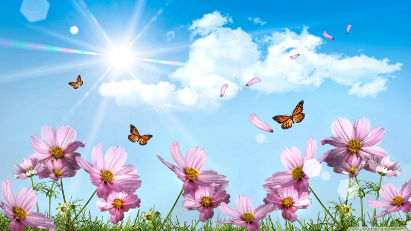 sun, sky, sunray, spring, 1080P