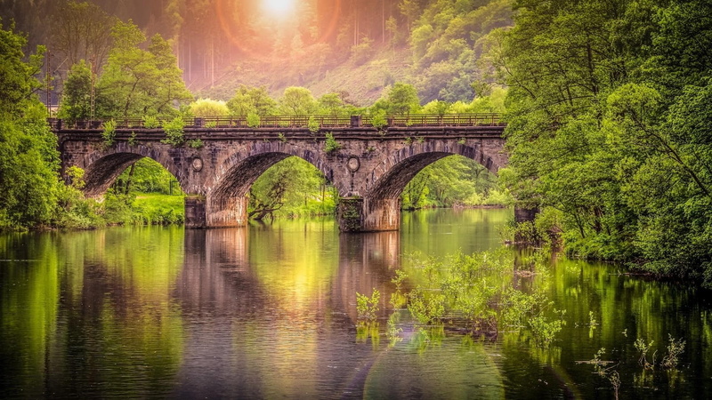 forest, nature, bridge, water, 1080P, sunray, sunlight