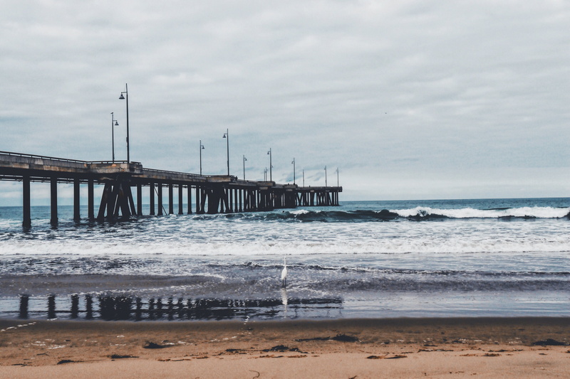 hd, united states, 4K, fishing, venice pier, bird, horizon, wave, land, views, beach, venice, sand, tranquility, venice beach, scenics - nature