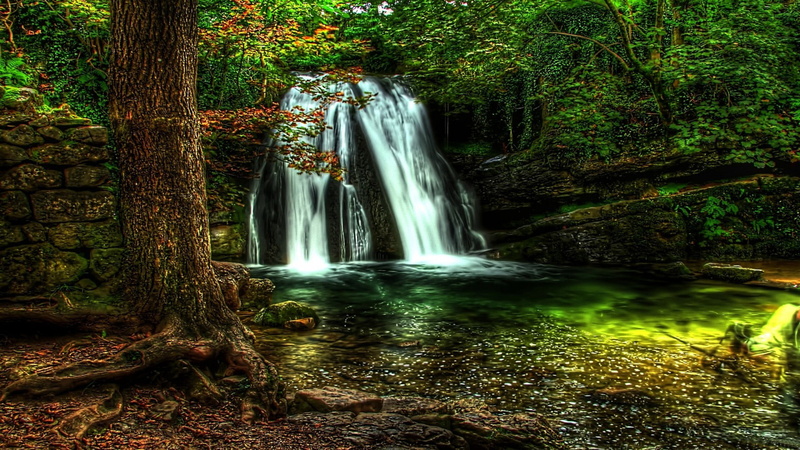  1080P, waterfall, forest, desktop, hd, full