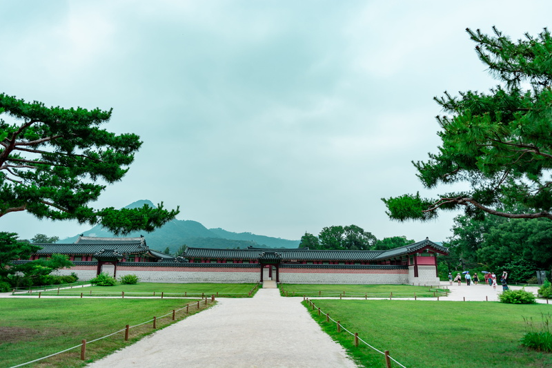 direction, green color, park, architecture, adventure, nature, urban, traditional, plant, city, eastern, outdoors, beauty in nature, built structure, incidental people
