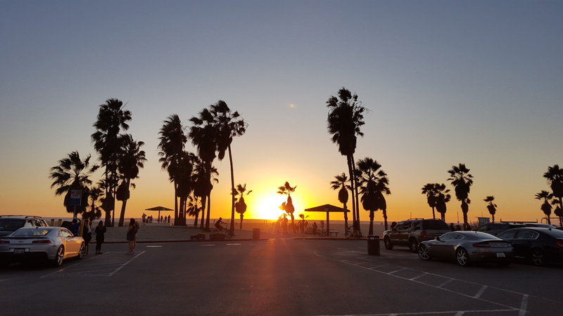 215 ocean front walk, sunset, car, human, street, outdoors, palm tree, 5K, united states, sky, orange color, mode of transportation, tropical climate