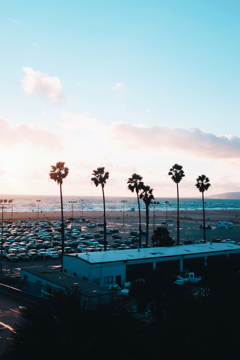 cloud - sky, plant, tree, 4K, traveling, travel, transportation, mode of transportation, no people, sunset, summer, ocean, united states, horizon, santa monica