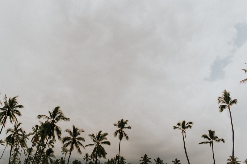 tranquil scene, coconut, overcast, rainforest, arecaceae, flora, beauty in nature, reed, cloud, palm, grey, trees, copy space, kailua-kona, nature, tropical climate