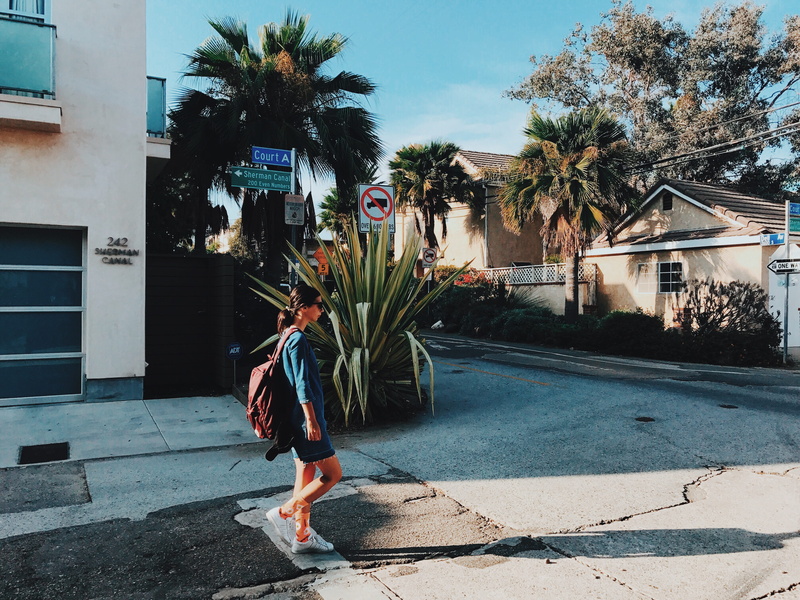 united states, venice beach, urban, female, plant, person, town, nature, near, human, lifestyles, housing, vase, street, palm tree, footpath, obscured face